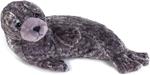 Foca Monaca