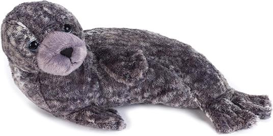 Foca Monaca