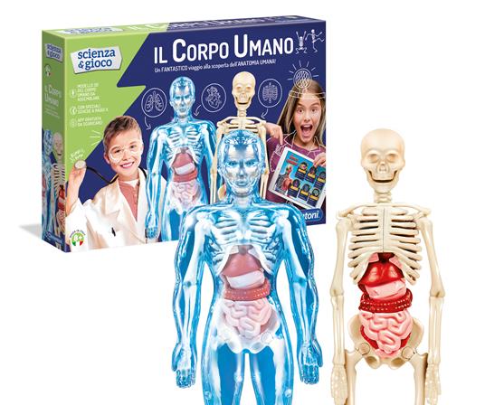 Il Corpo Umano - 10