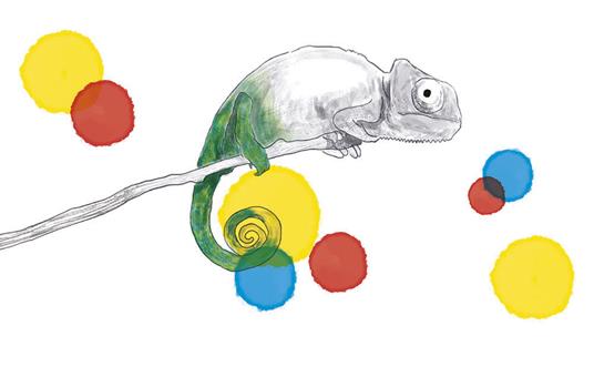 Montessori Un mondo a colori - 3