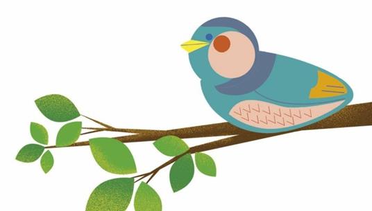 Little Match Animali - 6