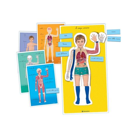 Montessori Il Corpo Umano - 2
