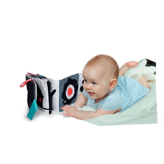 Black & White Baby Book - 5