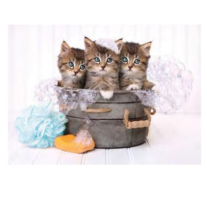 Puzzle 180 pezzi Lovely Kittens