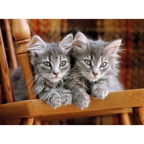 Kittens 500 pezzi High Quality Collection - 3