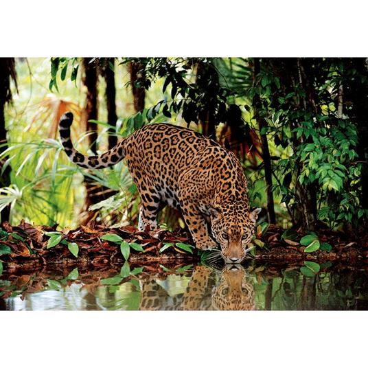Puzzle 2000 pezzi Leopard. High Quality Collection - 3