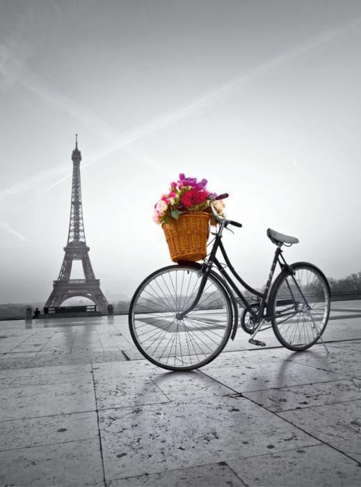 Puzzle Clementoni 500 pezzi. Romantic promenade in Paris - 4