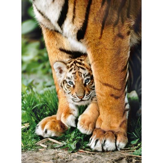 Puzzle Clementoni 500 pezzi. Bengal Tiger Cub Between Its Mother'S Legs - 3