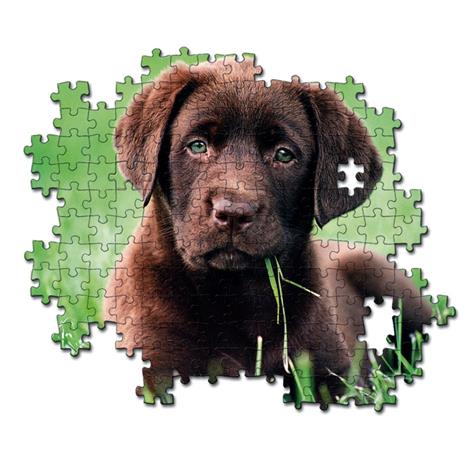 Chocolate Puppy 500 pezzi High Quality Collection - 3