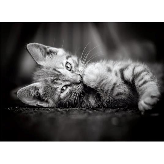 Puzzle Clementoni 1000 pezzi. Kitty - 2