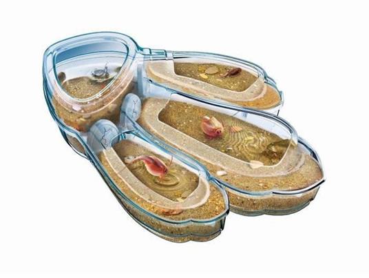 Clementoni - 52565 - Triops - 2