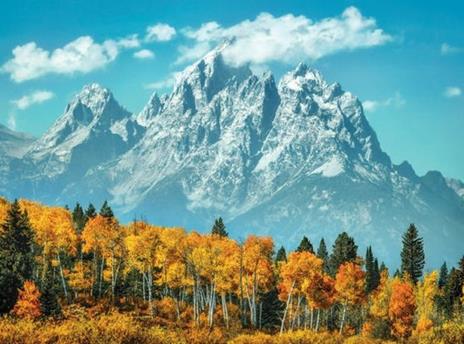 Puzzle 1000 PZ Grand Teton in Fall (U) - 2