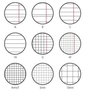 Quaderni quadretti 5 mm pacco 10pz