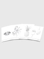 Confezione da 10 quaderni, Maxi Monocromo Silver 38 Ff/Sh, 5M, a quadretti 5mm