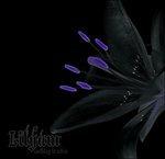 Nothing Is Mine - CD Audio di Lilyum