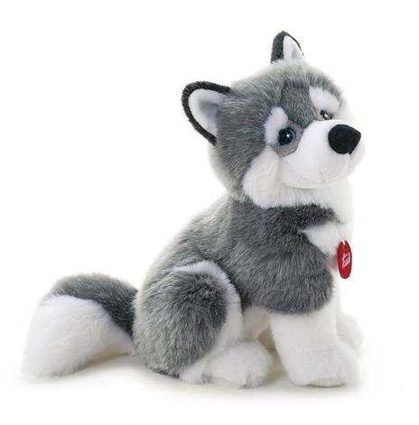 Husky Marcus M Trudi (22272) - 2