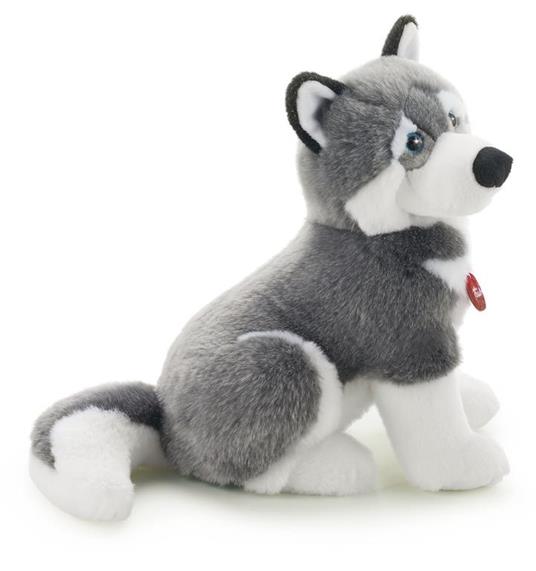 Husky Marcus L Trudi (22273)