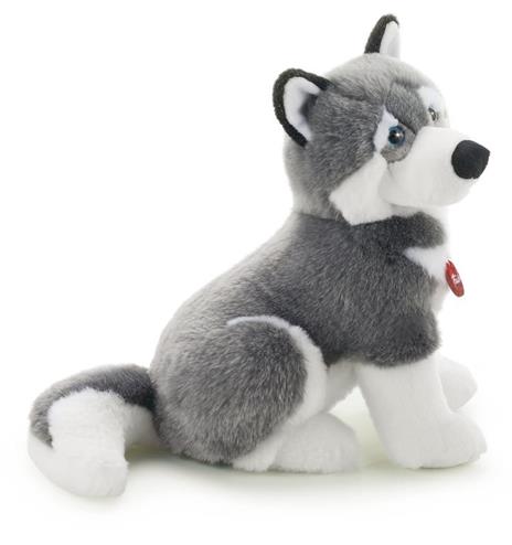 Husky Marcus L Trudi (22273) - 2