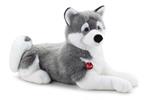 Husky Marcus XXL Trudi (22276)