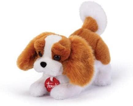 Isola dei Collezionisti