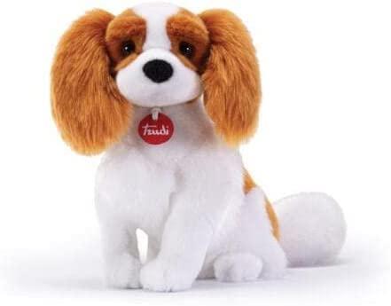 Isola dei Collezionisti