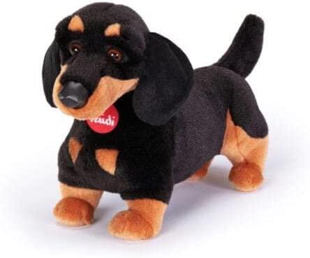 Isola dei Collezionisti