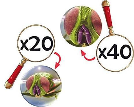 Zoomscope Microscopio - 3