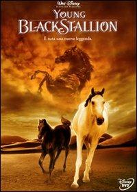 Young Black Stallion di Simon Wincer - DVD