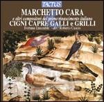 Cigni, capre, galli e grilli - CD Audio di Marchetto Cara