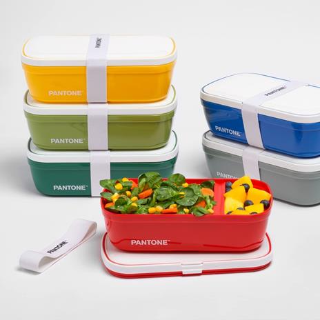 Pantone - Lunch Box, porta pranzo stile bento con divisorio interno ufficio scuola. 12x7x20,7 - Verde Chiaro - 5