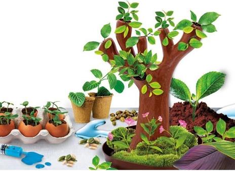 Gioco scientifico geniale: botanica - 2