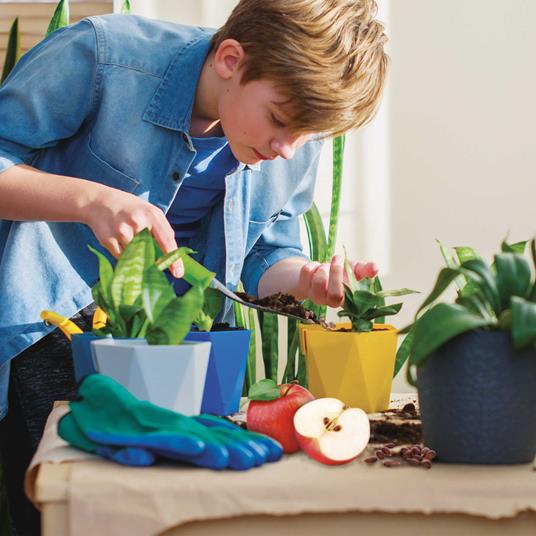 I'm a Genius Scienza Pocket la Mia Serra - 4