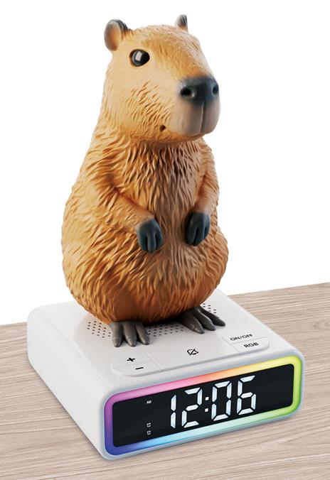 Rainy Days Capibara