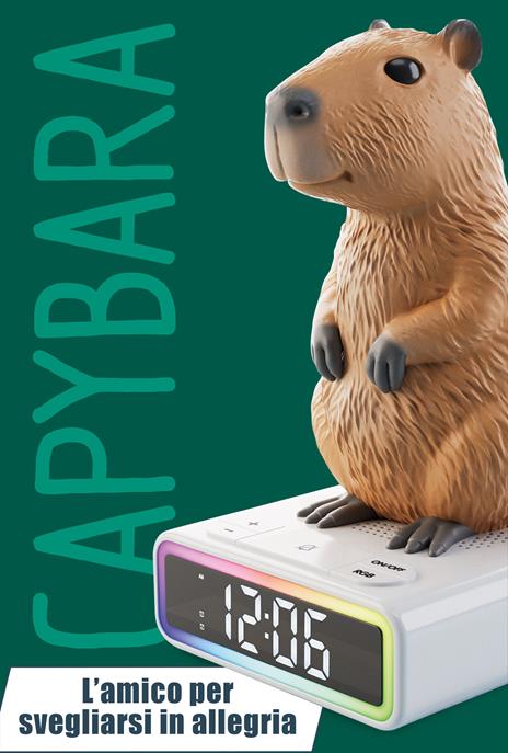 Rainy Days Capibara - 3