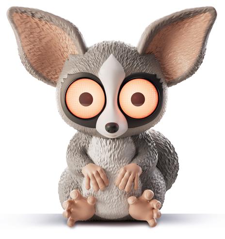 Rainy Days Bushbaby