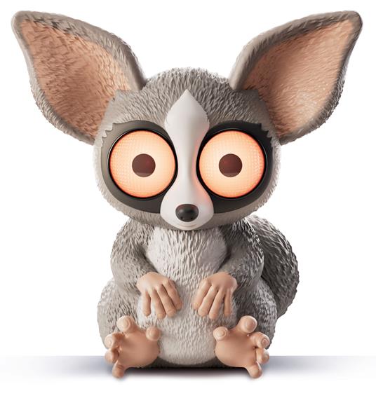 Rainy Days Bushbaby