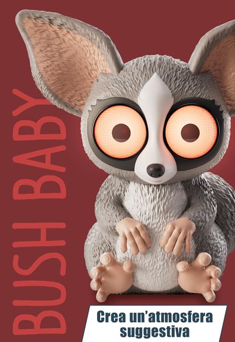 Rainy Days Bushbaby - 4