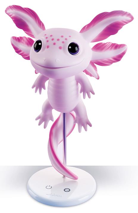 Rainy Days Axolotl