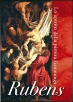 Rubens. Lo spirito della pittura fiamminga (DVD)