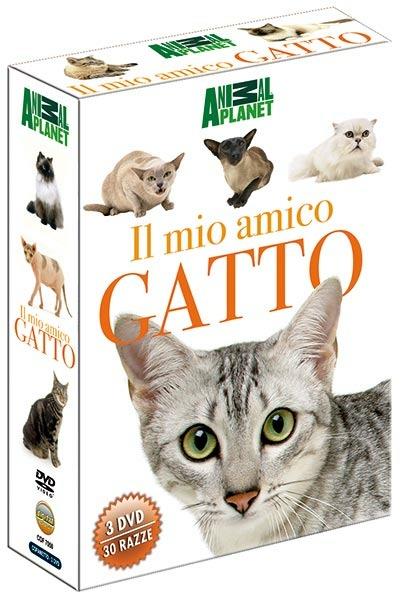 Il mio amico gatto (3 DVD) - DVD
