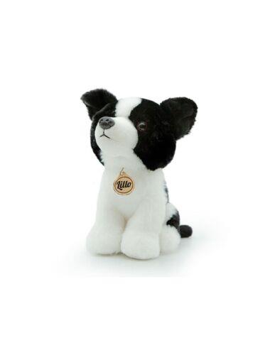 Morbidelli Border Collie Lillo 20 cm.