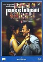 Pane e tulipani (DVD)