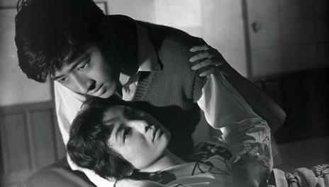 Desiderio inappagato (DVD) di Shohei Imamura - DVD - 2