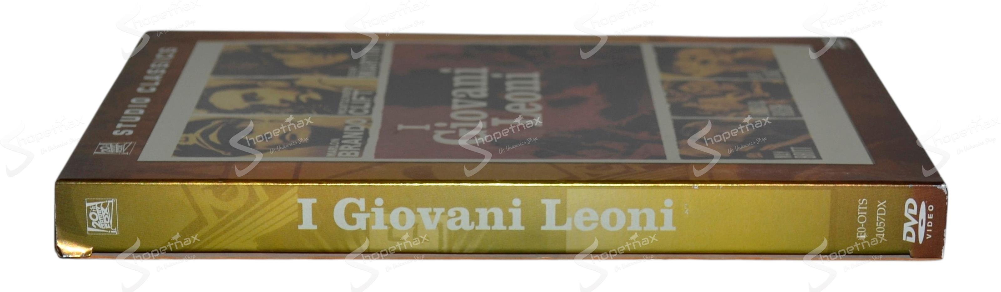 I giovani leoni