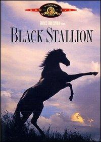 Black Stallion di Carroll Ballard - DVD