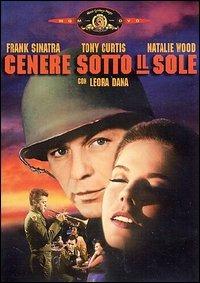 Cenere sotto il Sole. Attacco in Normandia di Delmer Daves - DVD