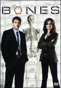 Bones. Stagione 1 (6 DVD) - DVD