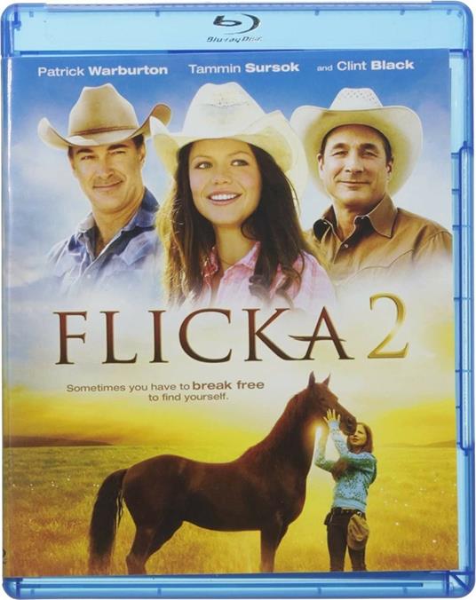 Flicka 2 di Michael Damian - DVD