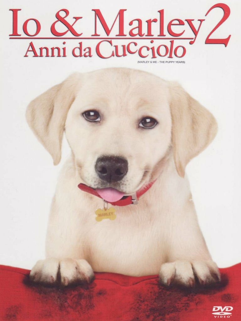 TUTTOSULVIDEO