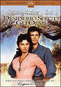 Desiderio sotto gli olmi di Delbert Mann - DVD